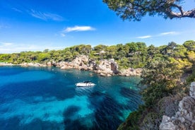 Excursion nautique - Cap d'Antibes 2H30