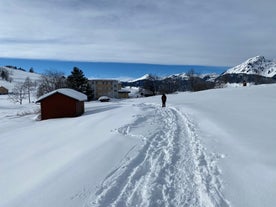 Photo of The Alp Laui near Wildhaus-Alt St. Johann with view of the Saentis and the Wildhuser Schafberg, Toggenburg, Canton of St. Gallen, Switzerland.