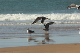 Gita di un giorno a El Rocio, al Parco Naturale di Doñana e alla spiaggia di Matalascañas da Siviglia