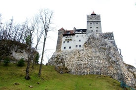 Bear Sanctuary y Bran Castle de Brasov