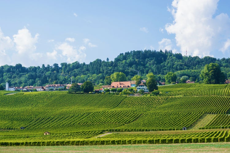 Photo of fields in Swiss village in Yverdon les Bains in Jura Nord Vaudois district of Canton Vaud, in Switzerland.