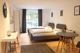 Moderne 1 -Zimmer Wohnung mit Terasse, Küche, Bad mit Dusche, TV & WIFI