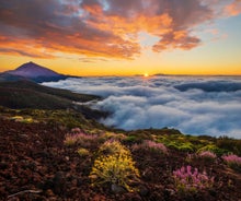 Photo of aerial view of beautiful landscape with Santa Cruz, capital of Tenerife, Canary island, Spain.