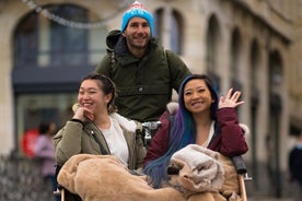 Tony's privérondleiding door de stad met picknick en chocoladeproeverij