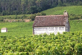 Yksityinen Tour Route des Grands Crus Burgundiassa