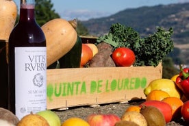 Traditional Cooking Class & Farm Tour in the Douro Valley