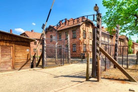 Krakow: Auschwitz Guided Tour with Optional Hotel Pickup