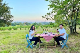 Private Tour in 2cv in the Vineyards with Tasting and Picnic