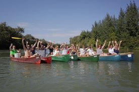 Tour di 4 ore Rafting da Hainburg a Bratislava