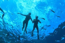 Kayak and snorkeling activities in a marine reserve in Tenerife