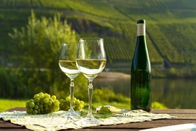 Private Wine Tasting Tour in Munich with a Wine Expert