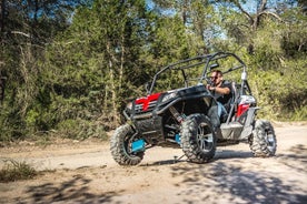 Ibiza: buggy-excursie