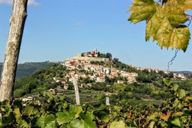 From Pula or Medulin: Rovinj, Grožnjan & Motovun day tour