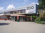 Dresden Zoo travel guide