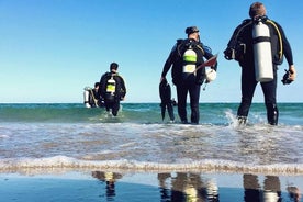 Ein Tag am Strand und Tauchen