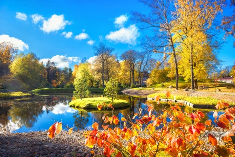 Photo of beautiful landscape with Japanese garden of stones and pond in Kadriorg park at golden autumn. Tallinn, Estonia.