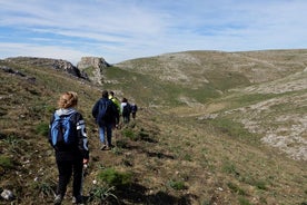 Skoðunarferð til Castel del Monte í Alta Murgia þjóðgarðinum