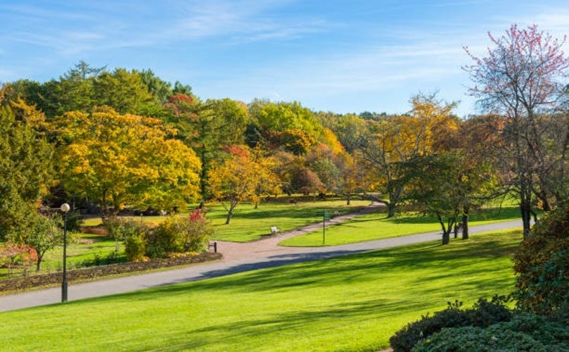 Göteborg Botanical Garden.jpg