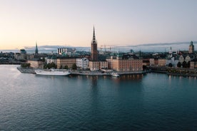 Stockholm Icons City Hall Old Town and Riddarholmen Private Tour