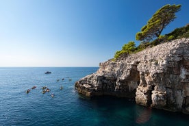 Tour di Dubrovnik in kayak