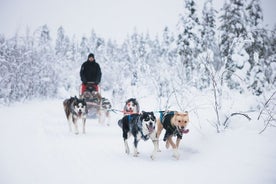 Circuit Husky autonome de 15 kilomètres à Levi