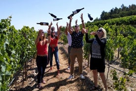 Visite en petit groupe dans la vallée du Douro avec dégustation de vins, déjeuner et croisière sur le fleuve en option.