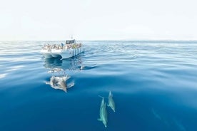 From Albufeira: Dolphins and Caves 2.5-Hour Boat Trip