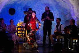 Granada: Flamenco Show at Templo del Flamenco with Drink