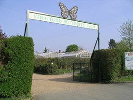 Stratford Butterfly Farm