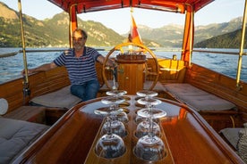 Luxuriöse Vierwaldstättersee-Tour in einer privaten Motoryacht