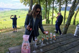 Gita di un giorno al vino per piccoli gruppi con champagne con degustazioni di vini e pranzo