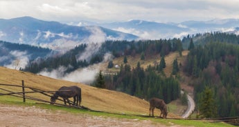 Transylvania and Bukovina by bicycle