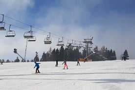 Cours de ski - Excursion d'une journée au départ de Cracovie : débutant ou avancé