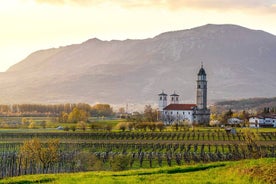 Visite express des vins de la vallée de Vipava au départ de Ljubljana