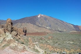 Vulkanen Teide - Masca-kløften. Guidet tur fra Puerto de la Cruz - Tenerife