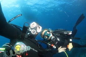 Essayez la plongée sous-marine