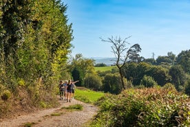 Goût du Camino de Santiago