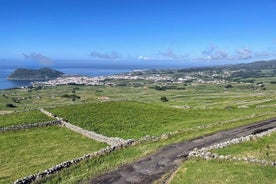 Terceira Island Bestu útsýnisstaðirnir (hálfur dagur)