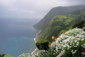 Heldags utendørs Nordeste og fossetur med lunsj