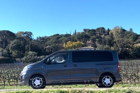 1/2 giorno, circuito privato enologico, mini van da St-Tropez