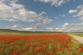 Bike Tour in the Alta Murgia National Park (Pulo of Altamura)