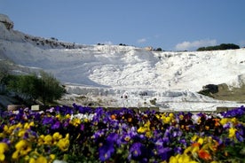 Pamukkale privat en dag fra Side