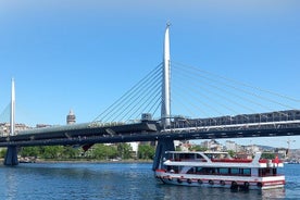 Passeio de barco no Bósforo em Istambul 3 horas e Corno de Ouro