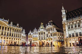 Tour privato: vivi la magia del Natale a Bruxelles