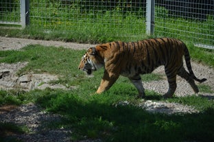 ZOO in Spišská Nová Ves