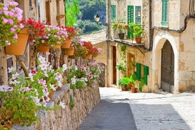 Ruta Guiada por Palma con Catedral y visita a Valldemossa (4H)