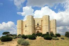 Trani, degustação de vinhos e Castel Del Monte tour de Bari ou Ostuni