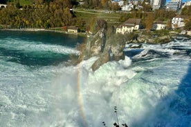 Basel: Schaffhausen & the Rhine's Largest Falls Private Tour