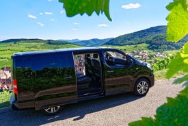 Privater Minivan-Transfer vom Gebiet Colmar zum Flughafen Frankfurt