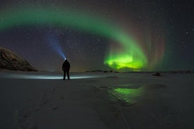 Norðurljósaeltingaleikur frá Tromsø í litlum hópi